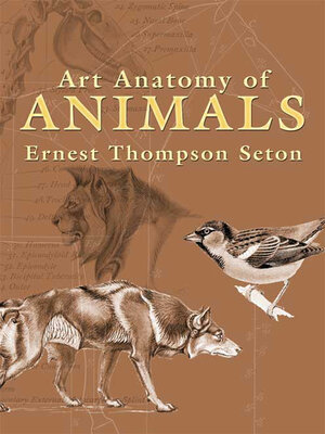 cover image of Art Anatomy of Animals